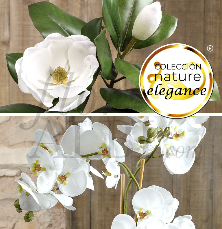 orquídeas y magnolias